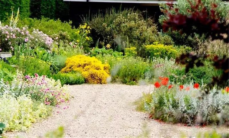 礫石花園，在詩意中自由生長的花園設(shè)計