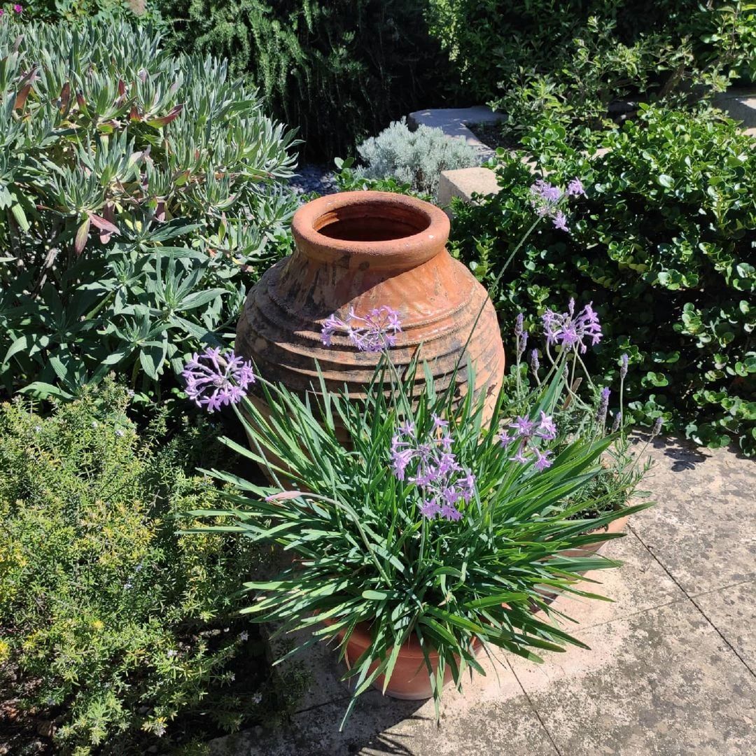 地中海風(fēng)格的花園，仿佛海邊度假的悠閑時(shí)光~